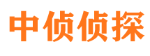 和平市婚外情调查